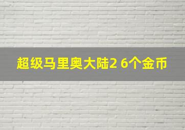 超级马里奥大陆2 6个金币